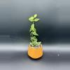 plant/Hoya Bella Outer Variegated #467-0-thumbnail