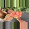 plant/Aglaonema (super) pink lotus exact plant-0-thumbnail