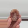 plant/Sunstone Worrystone from India-0-thumbnail