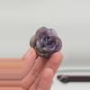 plant/Amethyst Rose from Brazil-0-thumbnail