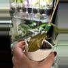 plant/Philodendron Orange Princess 113-2-thumbnail