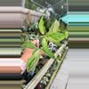 plant/#1 Syngonium Red Spot Tricolor-0-thumbnail