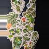 plant/Random plant sticker-0-thumbnail