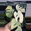 plant/Monstera mint 6”-0-thumbnail