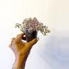 plant/Tradescantia Pink Panther *gc (W)-1-thumbnail
