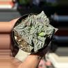 plant/Variegated Tiger Jaw-0-thumbnail