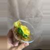 plant/Philodendron Micans Aurea/Pink Var-0-thumbnail