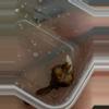 plant/Venom corm-0-thumbnail