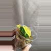 plant/Philodendron Micans Aurea/Pink Var-1-thumbnail