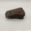 plant/Maury Mountain Moss Agate - Red - 8.45oz-2-thumbnail