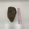 plant/Arizona Petrified Wood - Agatized - 1lb 0.55oz-3-thumbnail