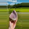 plant/XL Uruguay Amethyst Cut Base #1 / Large Crystal Specimen-0-thumbnail