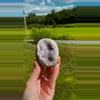 plant/Uruguay Amethyst Cut Base #8 / Crystal Specimen-0-thumbnail