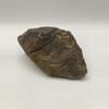 plant/Arizona Petrified Wood - Agatized - 1lb 0.55oz-0-thumbnail