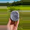 plant/Uruguay Amethyst Cut Base #2 / Crystal Specimen-0-thumbnail
