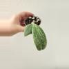 plant/Hoya verticillata (FKA wibergiae)-0-thumbnail