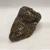 plant/Arizona Petrified Wood - Agatized - 1lb 0.55oz-2-thumbnail