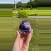 plant/Uruguay Amethyst Cut Base #6 / Crystal Specimen-0-thumbnail