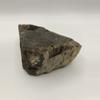 plant/Arizona Petrified Wood - Agatized - 1lb 0.55oz-1-thumbnail