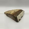 plant/Stinking Water Oak Petrified Wood - Agatized - 1lb 2.50oz-1-thumbnail