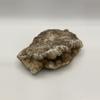 plant/Stinking Water Moss Agate - 11.95oz-1-thumbnail