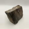 plant/Mcdermitt Petrified Wood - Agatized - 1lb 4.25oz-1-thumbnail