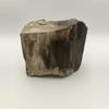 plant/Mcdermitt Petrified Wood - Agatized - 1lb 4.25oz-0-thumbnail