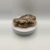 plant/Stinking Water Moss Agate - 11.95oz-4-thumbnail
