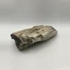plant/Stinking Water Oak Petrified Wood - Agatized - 1lb 4.90oz-3-thumbnail