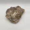 plant/Stinking Water Moss Agate - 11.95oz-0-thumbnail