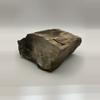 plant/Mcdermitt Petrified Wood - Agatized - 1lb 4.25oz-2-thumbnail