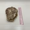 plant/Stinking Water Moss Agate - 11.95oz-3-thumbnail