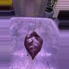 plant/Azlanii Pup-0-thumbnail