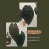 plant/Dreamweaver x Pap Ree Gardens-3-thumbnail