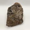 plant/Chocolate Jasper - 1lb 6.30oz-2-thumbnail