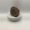 plant/Chocolate Jasper - 1lb 6.30oz-4-thumbnail