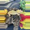 plant/Rosie proven female red tiger lines  margin trait-0-thumbnail