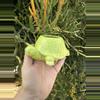 plant/Speedy/ no drainage-0-thumbnail