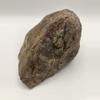 plant/Chocolate Jasper - 1lb 6.30oz-1-thumbnail