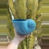 plant/Blue shell/ no drainage-0-thumbnail