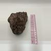 plant/Chocolate Jasper - 1lb 5.05oz-3-thumbnail