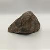 plant/Chocolate Jasper - 1lb 6.30oz-0-thumbnail