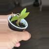 plant/Orchid Plug Growers Choice-1-thumbnail