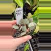 plant/PL8234: Hoya Khroniana Black Silver-0-thumbnail