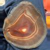 plant/Agate Slab-1-thumbnail