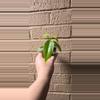 plant/Golden Dragon Philodendron -0-thumbnail