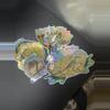 plant/Tiny Diny Sticker Pack-0-thumbnail