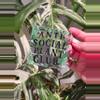 plant/Anti Social Plant Club transparent UV and Waterproof Sticker-0-thumbnail