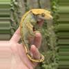 plant/Rtb soft scale female-0-thumbnail