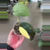 plant/Variegated Jade Satin Scindapsus 4”-1-thumbnail